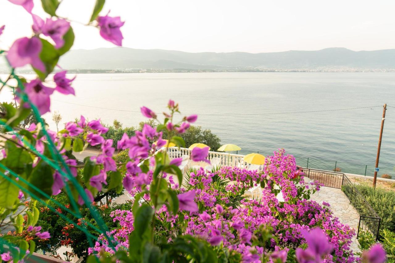 Villa Fjaba - By The Sea - With The Big Terraces & Great Sea View Trogir Eksteriør bilde